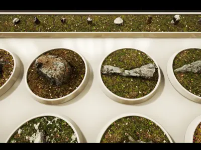 Scan Nature Pack - UE Project 4 10 Low-poly 3D model