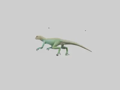 Bonaire Whiptail Lizard running model 3D model
