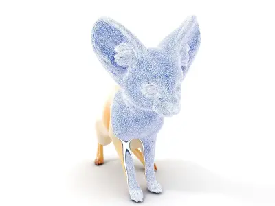 Fennec Fox D Model Pack for Animation and Games Low-poly 3D model