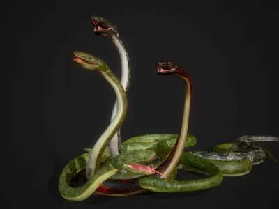 Boa - Game Ready three snakes Low-poly 3D model