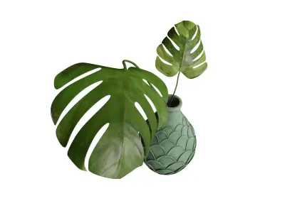 Decorative Vase with Monstera Leaves 3D model