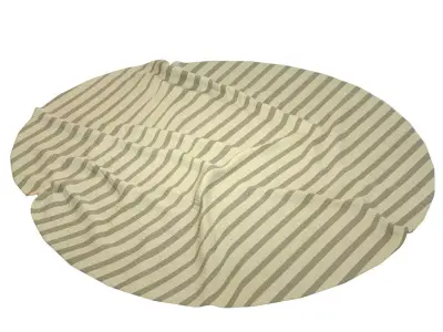 Anderson Rug 3D model