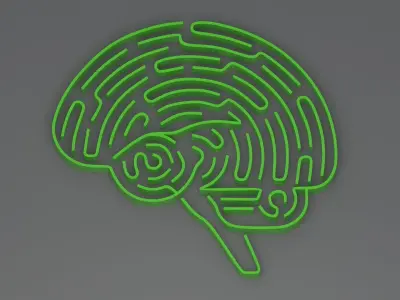 Green brain maze 3D model