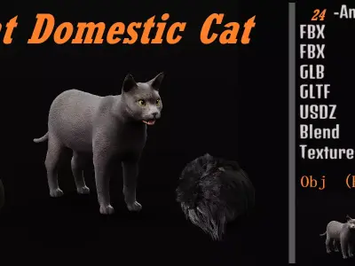 Korat Cat Low-poly 3D model