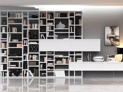 CROSSING bookcase 3D model