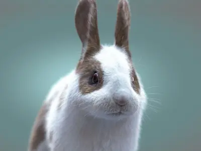Rabbit Spotted ANIMATED XGEN CORE 3D model