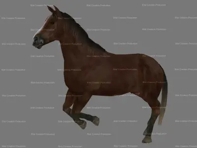 Horse Animated 3D model