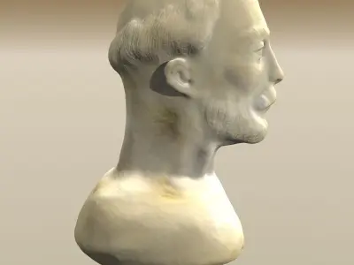 Bearded Man Bust 3D model