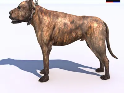 Vicious Dog 3D model