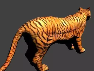 3D Low poly Tiger Low-poly 3D model