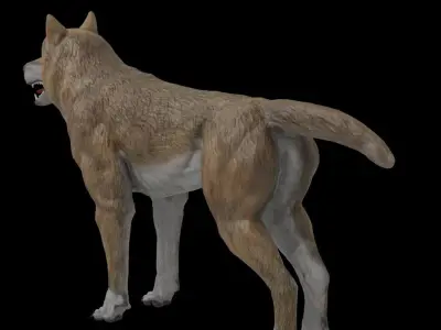Wolf Game Model Low-poly 3D model