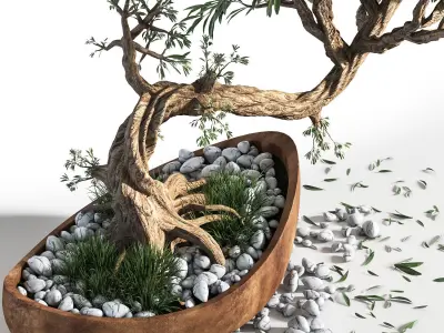  plant bonsai 03 3D model