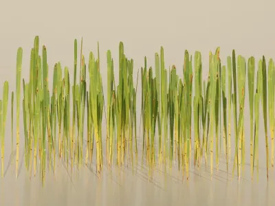 Realistic Grass Pack For Games Free low-poly 3D model