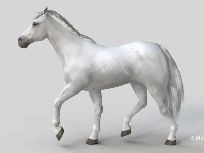 Horse PRO - White 3D model