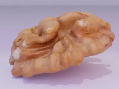 Walnut half kernel 01 high-poly 3D model