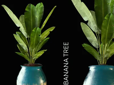 banana tree 3D model