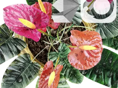 Red anthurium Plant in a decorative vase 3D model