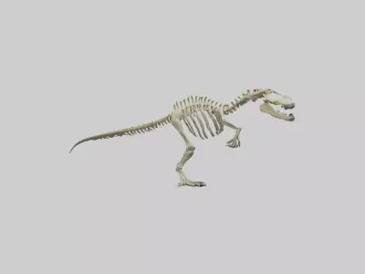 Postosuchus Skeleton model Low-poly 3D model