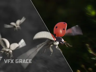 Ladybug Rig - MAYA 3D model