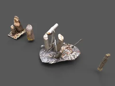 Beaver bitten willow tree stumps pack 3D model