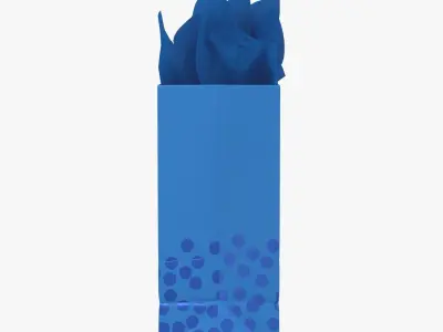 Hallmark 13 Large Gift Bag with Tissue Paper 3D model