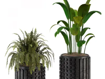 Indoorplant 01 Low-poly 3D model