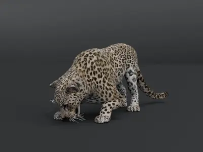 Leopard Animated Low-poly 3D model