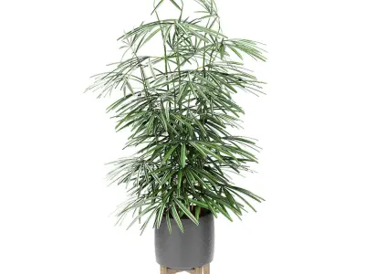 Plant in Pot Flowerpot Exotic Plant 3D model get
