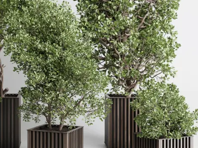 Indoor plant 480 wooden box dirt vase plant tree pot 3D model