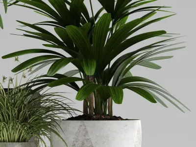 plants set 134 3D model