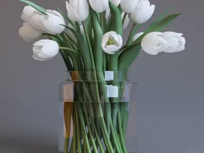 White tulips 3D model