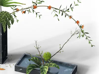 Indoor Plant Set 03 -three bouquets 3D model