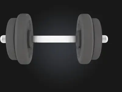 Dumbbell Display  Compact Strength with a Polished Presentation 3D model