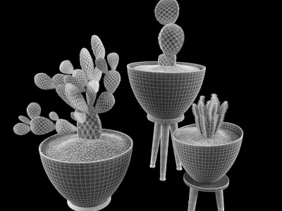 Cactus Set for decorating Your interiors 3D model