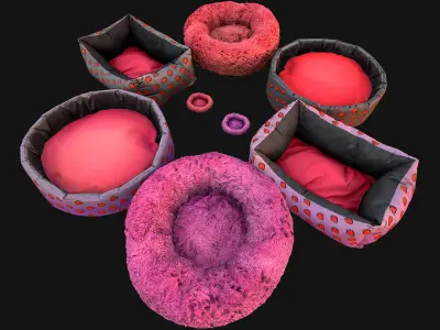 Bed for Animals Dog Cat Rodent Hamster Rat Pet Pack Set Low-poly 3D model