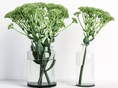 Sedum flower in glass vase 3D model