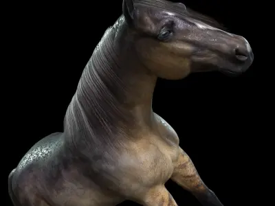 Thoroughbred Arabian Horse WILD WORLD PONY 5 Low-poly 3D model