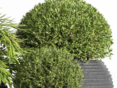 Outdoor Plants tree 07 3D model