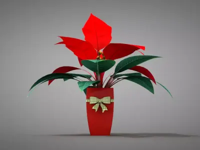 Poinsettia Parrot Beak Plant 3D model