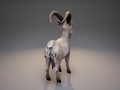 Stylized Goat Low-poly 3D model