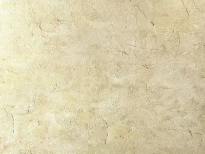 Decorative plaster 33 Texture