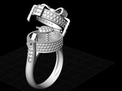 Alessio Boschi Surprise me ring 3D print model