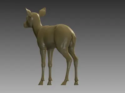Baby Deer 3D Model 3D print model