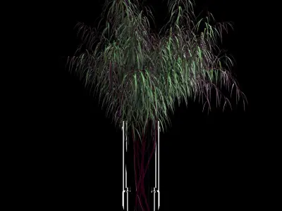 Agonis plant in glass vase 3D model