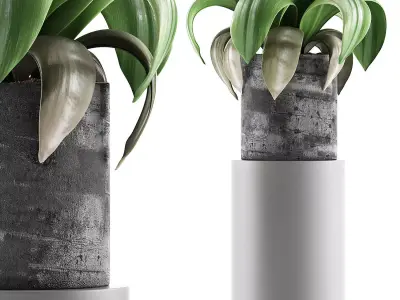Plants Collection 89 3D model
