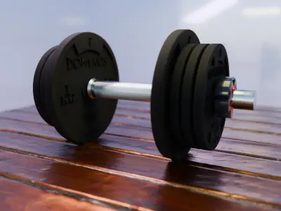 Dumbbell pair of dumbbells 3D model 3D model
