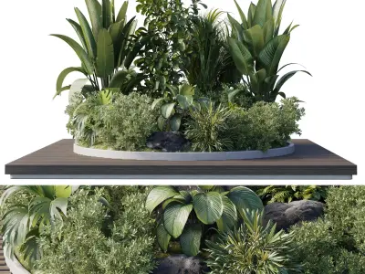 Garden of Plants shrubs palm - outdoor garden set 167 Low-poly 3D model