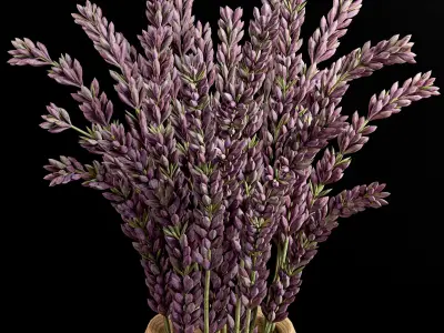 Bathroom accessories 35 3D model