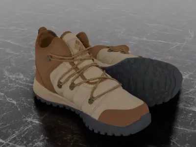 COLUMBIA 3D BOOTS - BROWN Low-poly 3D model