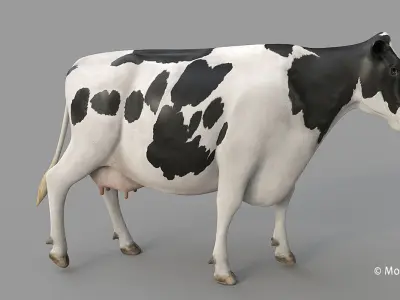 Cow PRO - 3 in 1 Bundle 3D model